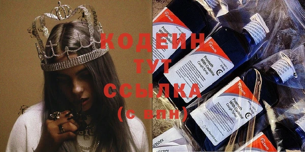 индика Зеленокумск