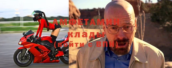 индика Зеленокумск