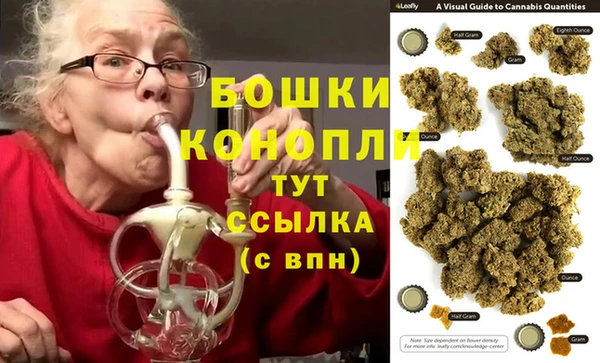 индика Зеленокумск
