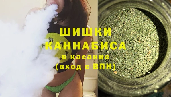 индика Зеленокумск
