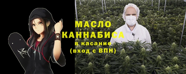 индика Зеленокумск