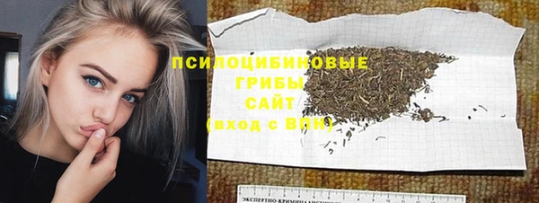 прущие крисы Зеленодольск