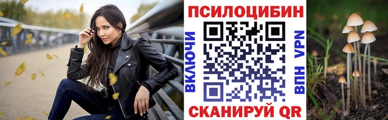 Псилоцибиновые грибы Cubensis  гидра вход  Соль-Илецк 