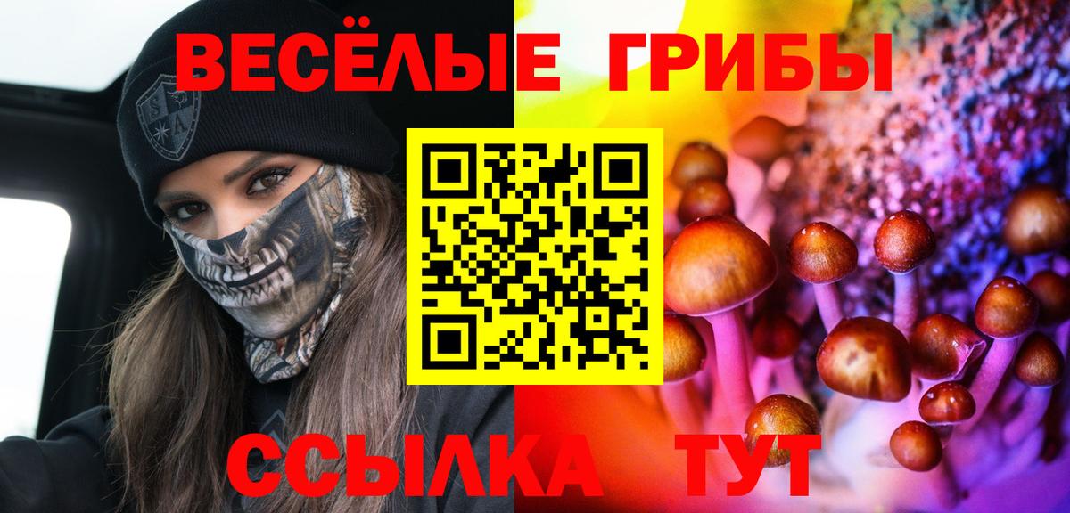 Псилоцибиновые грибы мухоморы Соль-Илецк