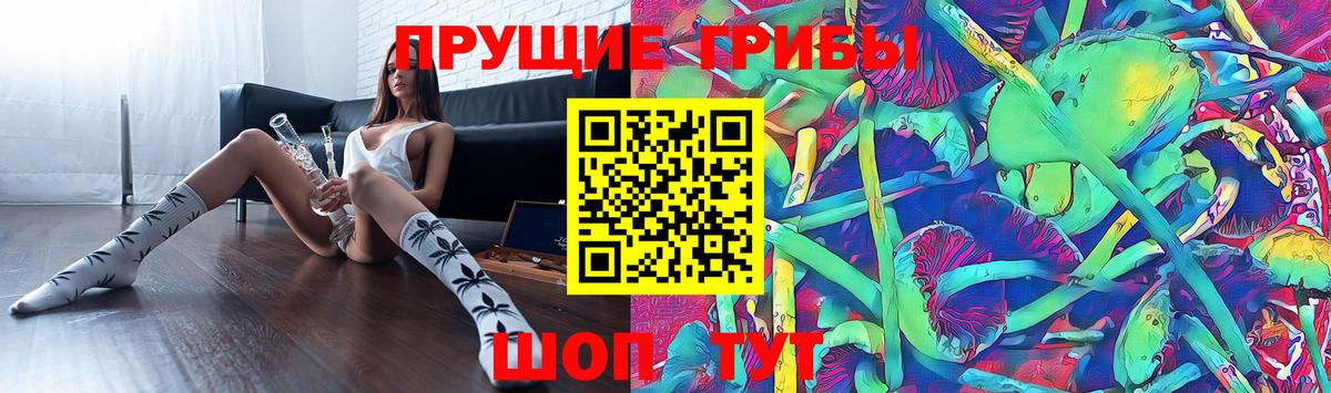 Галлюциногенные грибы Cubensis  цены   Соль-Илецк  Вход с VPN 